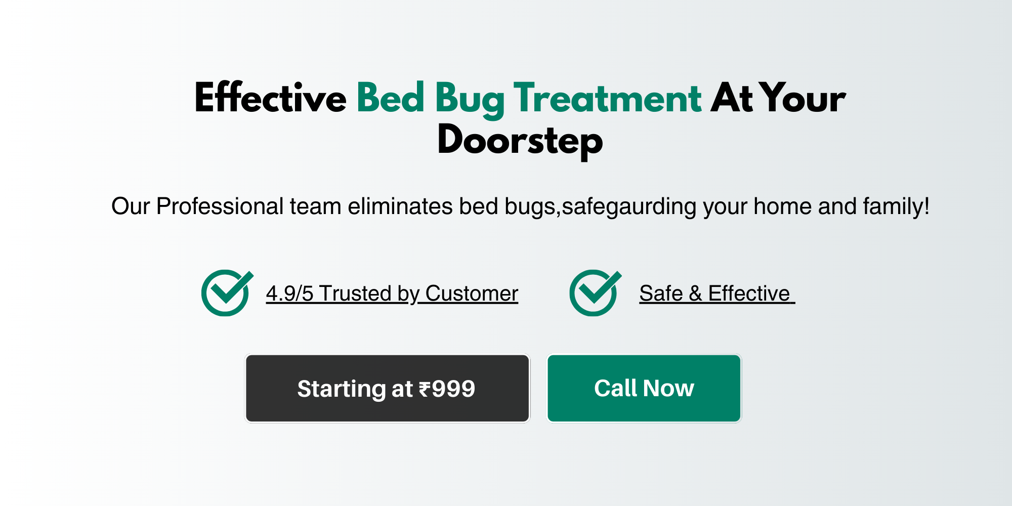 Bed Bug Control Services